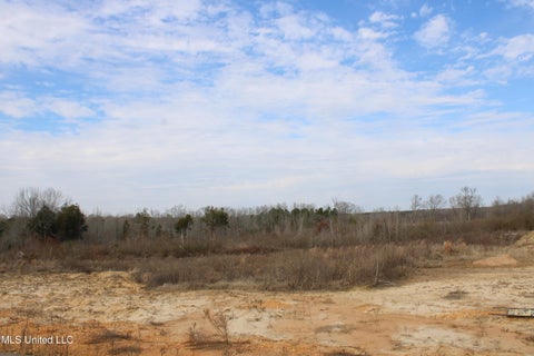 Vacant Land For Sale - 6 Taylor Nichole Road<br/> Byhalia, MS 38611