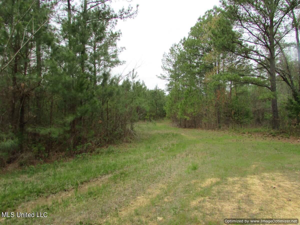 Permenter Road, Canton, Mississippi image 16