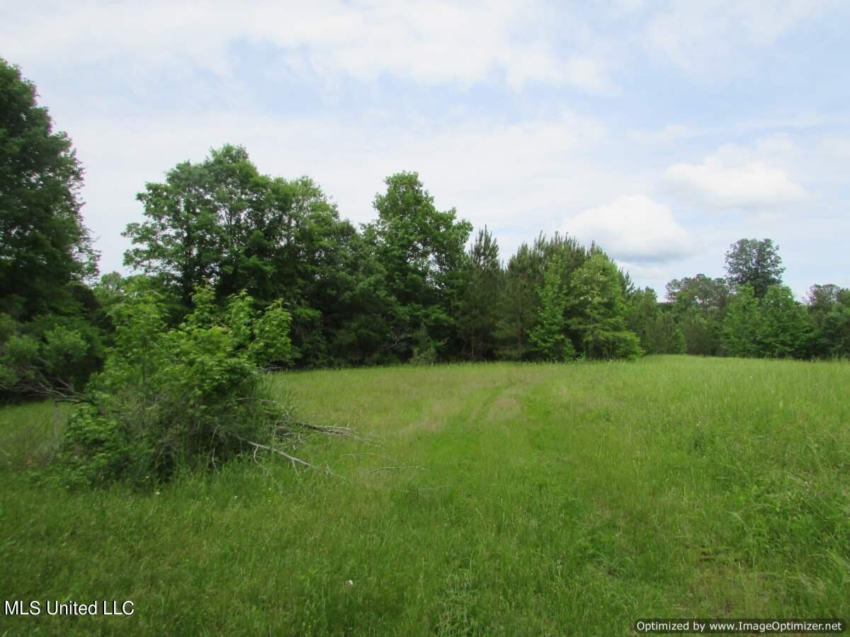 Permenter Road, Canton, Mississippi image 3