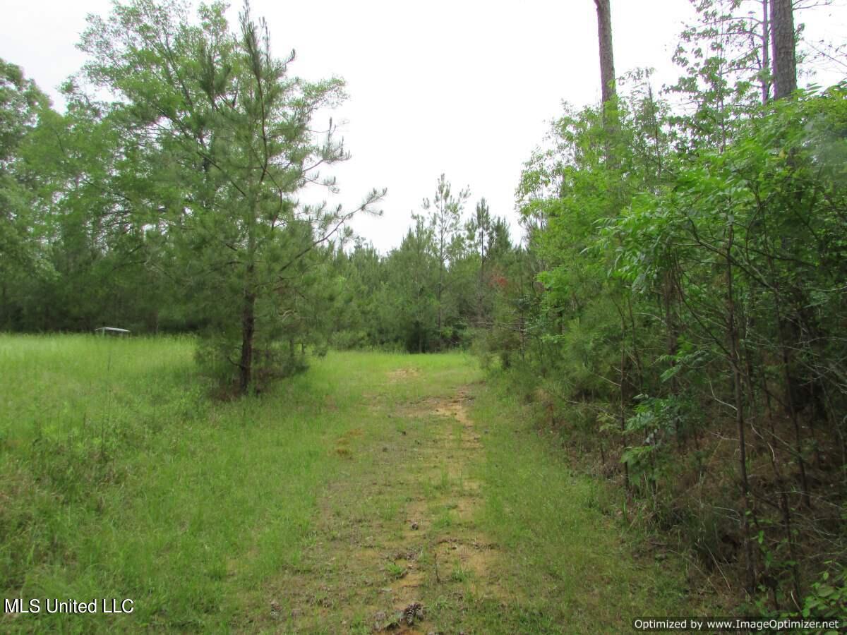 Permenter Road, Canton, Mississippi image 7