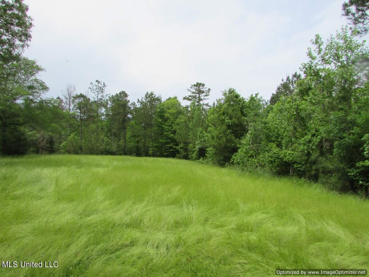 Permenter Road, Canton, Mississippi image 10