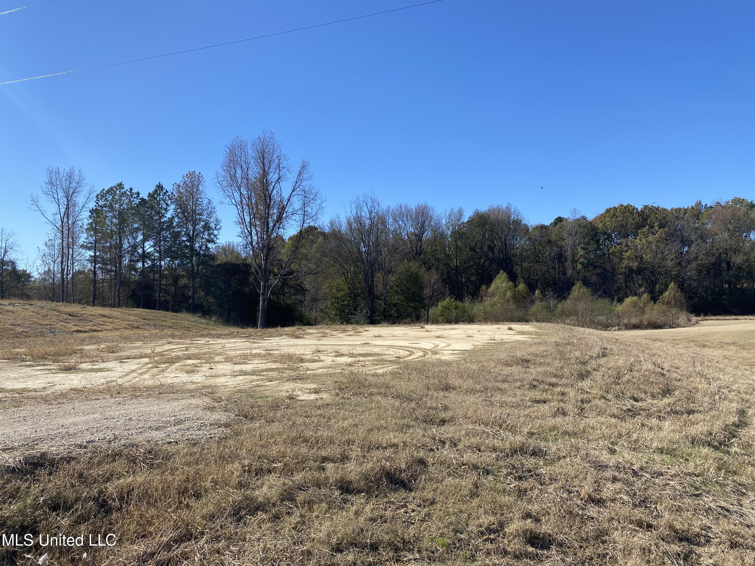 8 Highland Meadows Minor Lot, Hernando, Mississippi image 1