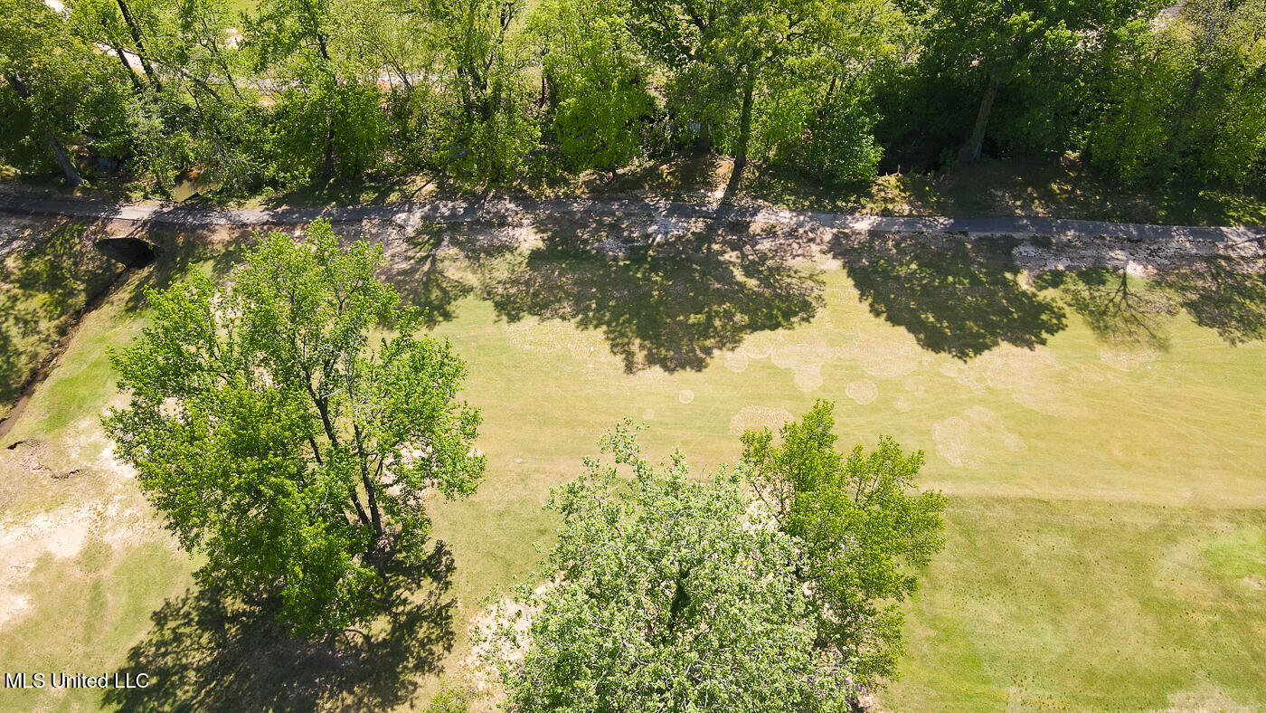 785 W Fairway Pointe Cove, Hernando, Mississippi image 46