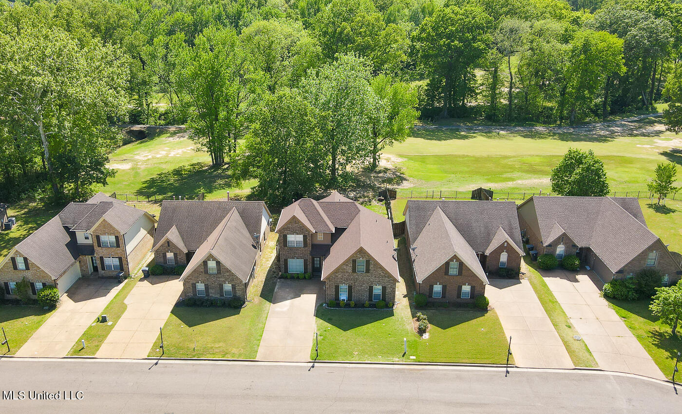 785 W Fairway Pointe Cove, Hernando, Mississippi image 11