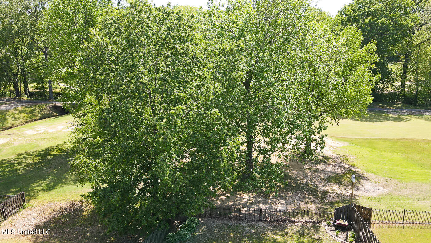 785 W Fairway Pointe Cove, Hernando, Mississippi image 47
