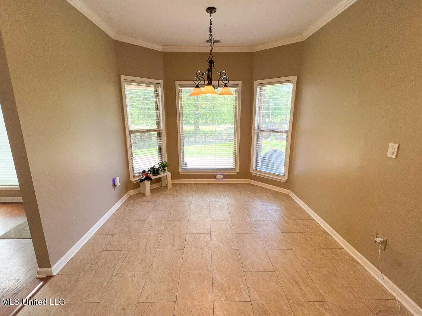 785 W Fairway Pointe Cove, Hernando, Mississippi image 4