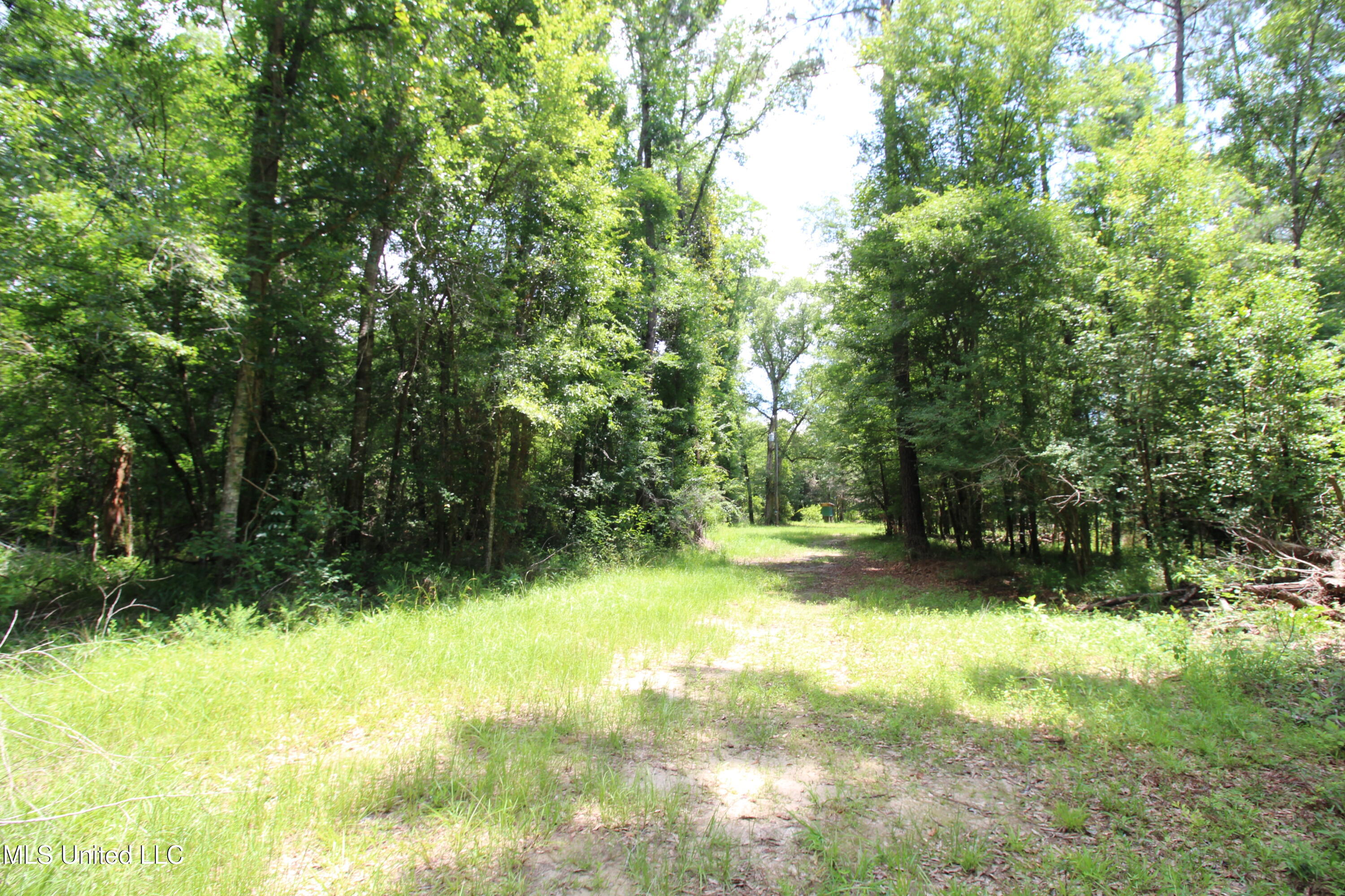 177 +/- Ac Burnis Havard Rd, Perkinston, Mississippi image 5