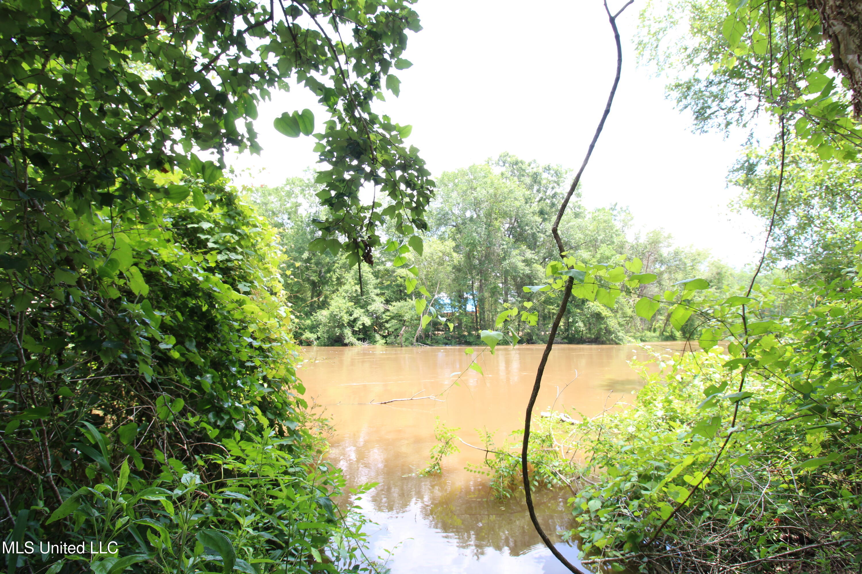 177 +/- Ac Burnis Havard Rd, Perkinston, Mississippi image 11