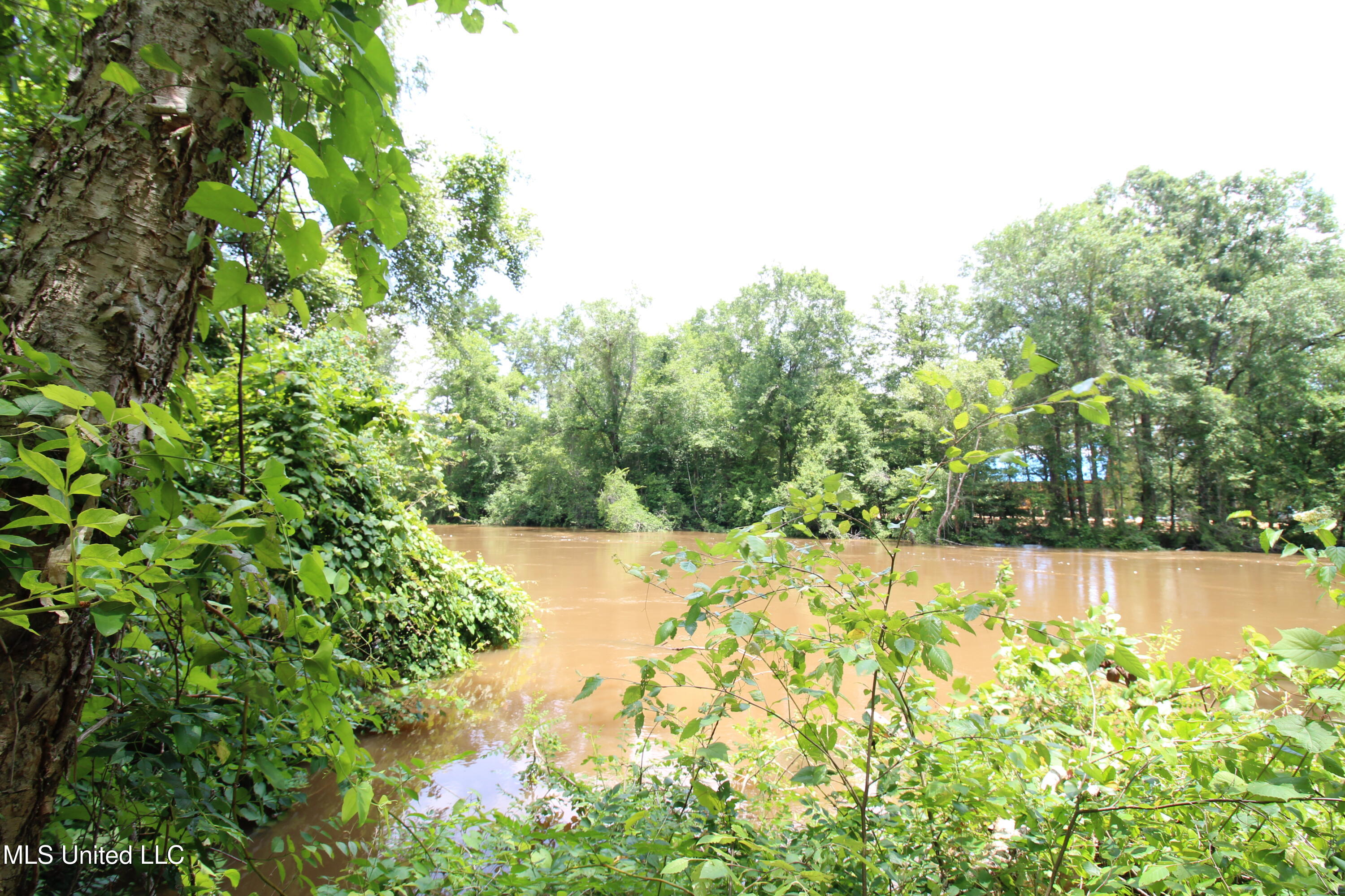 177 +/- Ac Burnis Havard Rd, Perkinston, Mississippi image 12