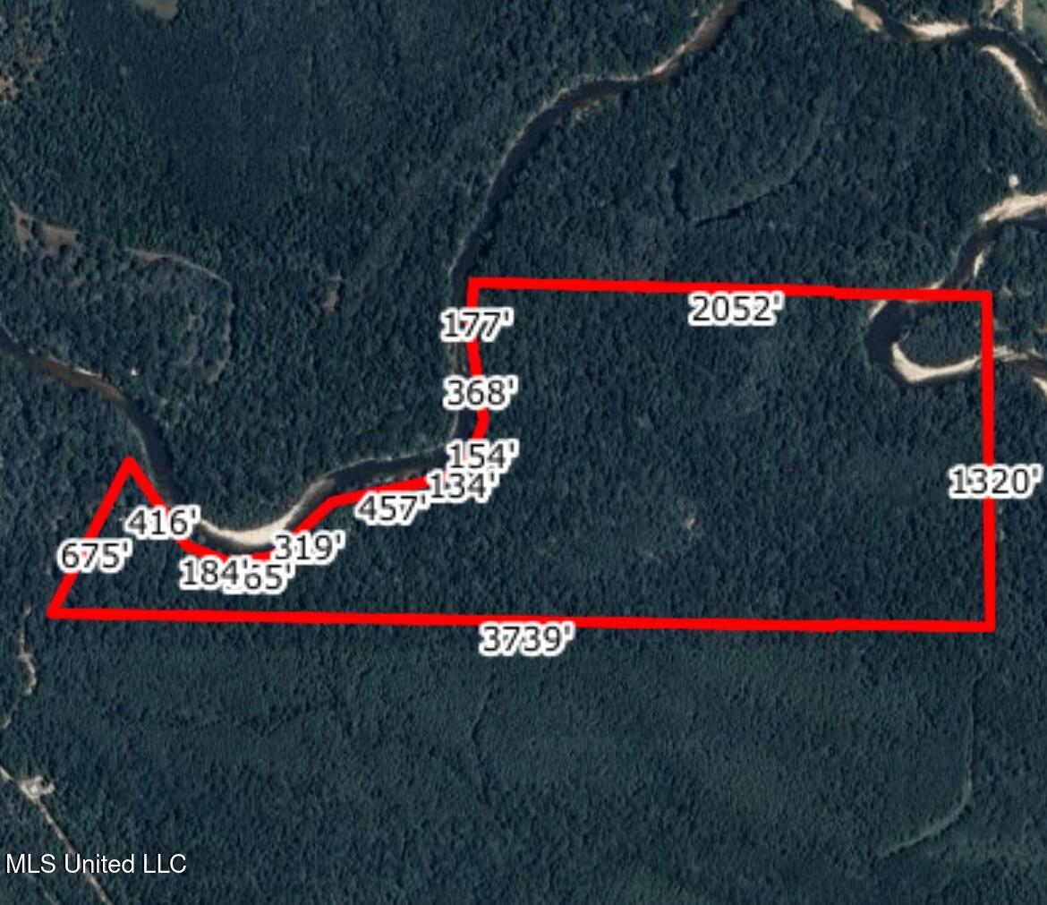 177 +/- Ac Burnis Havard Rd, Perkinston, Mississippi image 17
