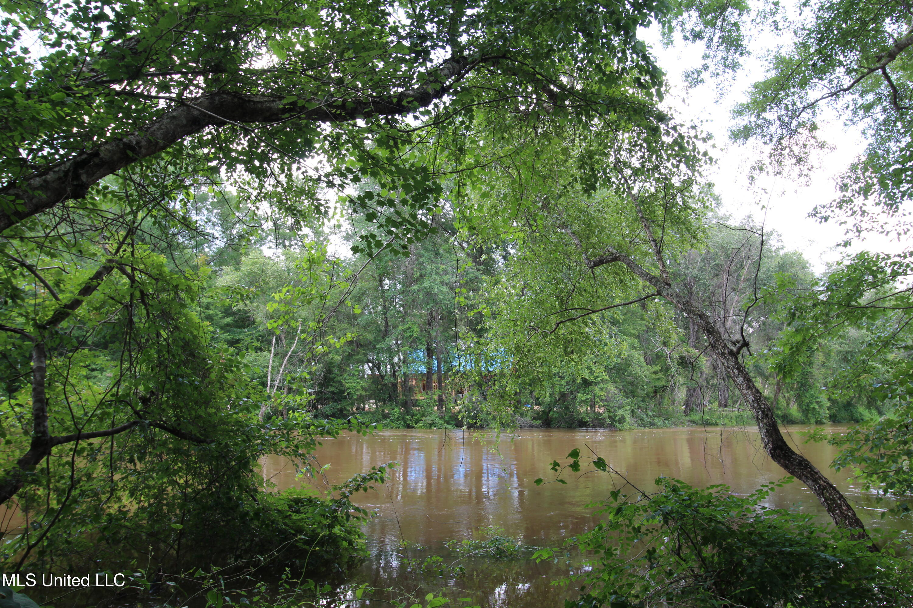 177 +/- Ac Burnis Havard Rd, Perkinston, Mississippi image 13
