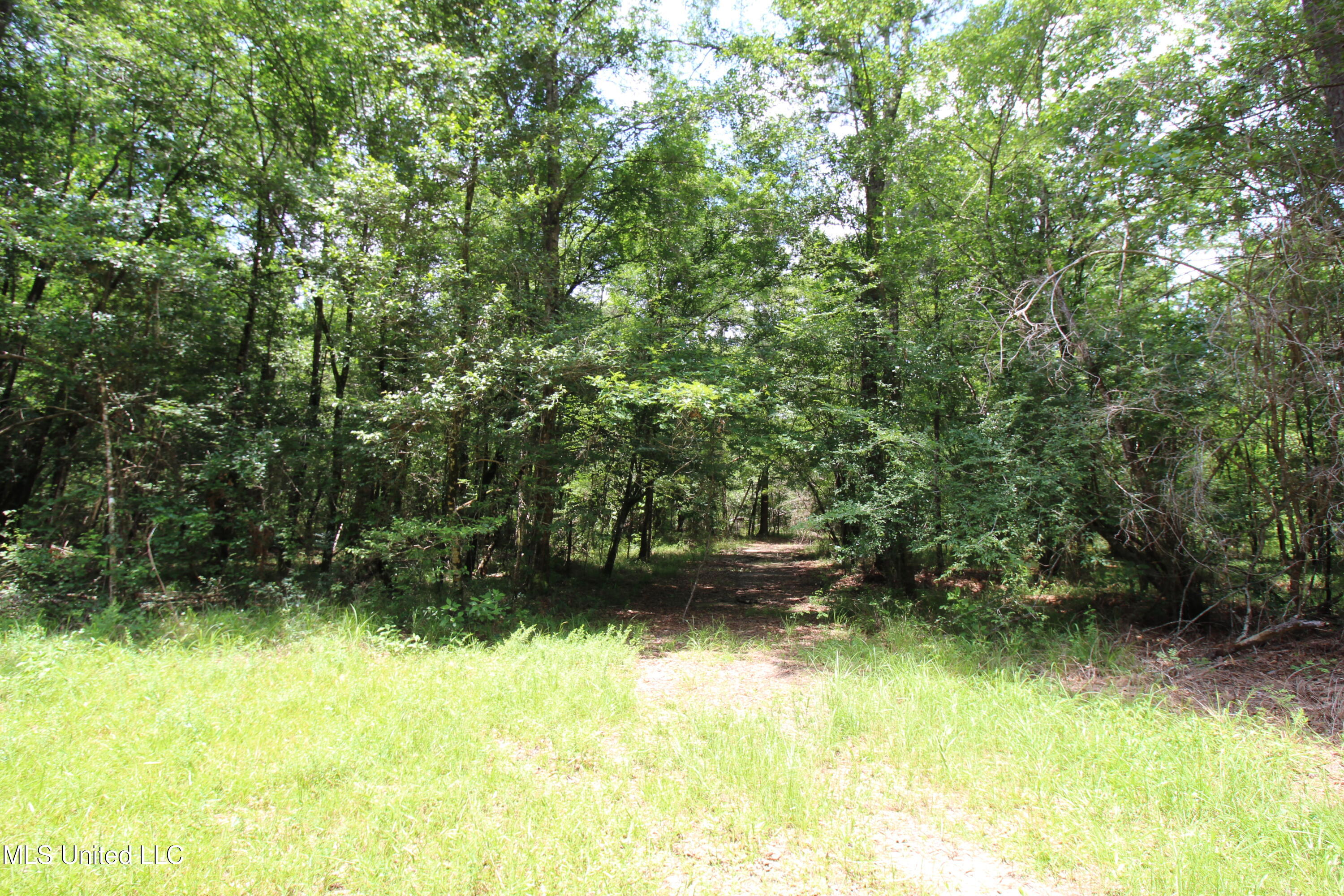 177 +/- Ac Burnis Havard Rd, Perkinston, Mississippi image 4