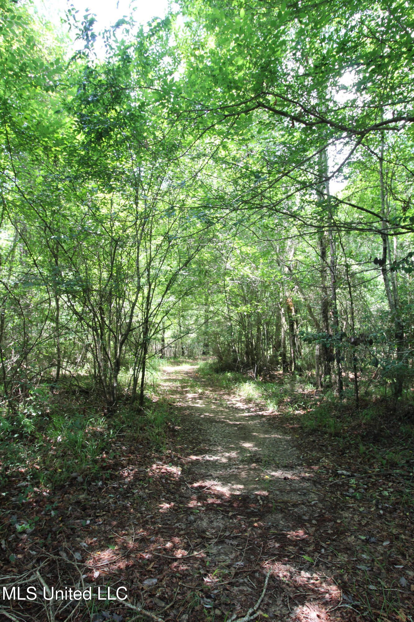 177 +/- Ac Burnis Havard Rd, Perkinston, Mississippi image 2