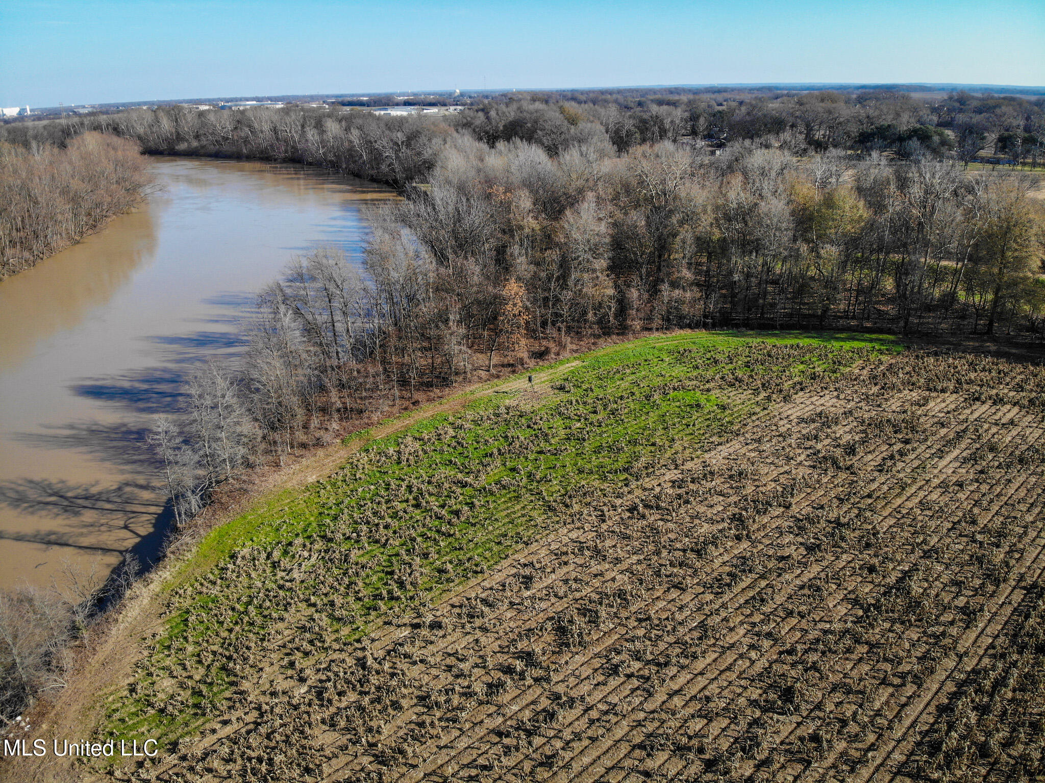 Buckeye Rd Road, Greenwood, Mississippi image 16