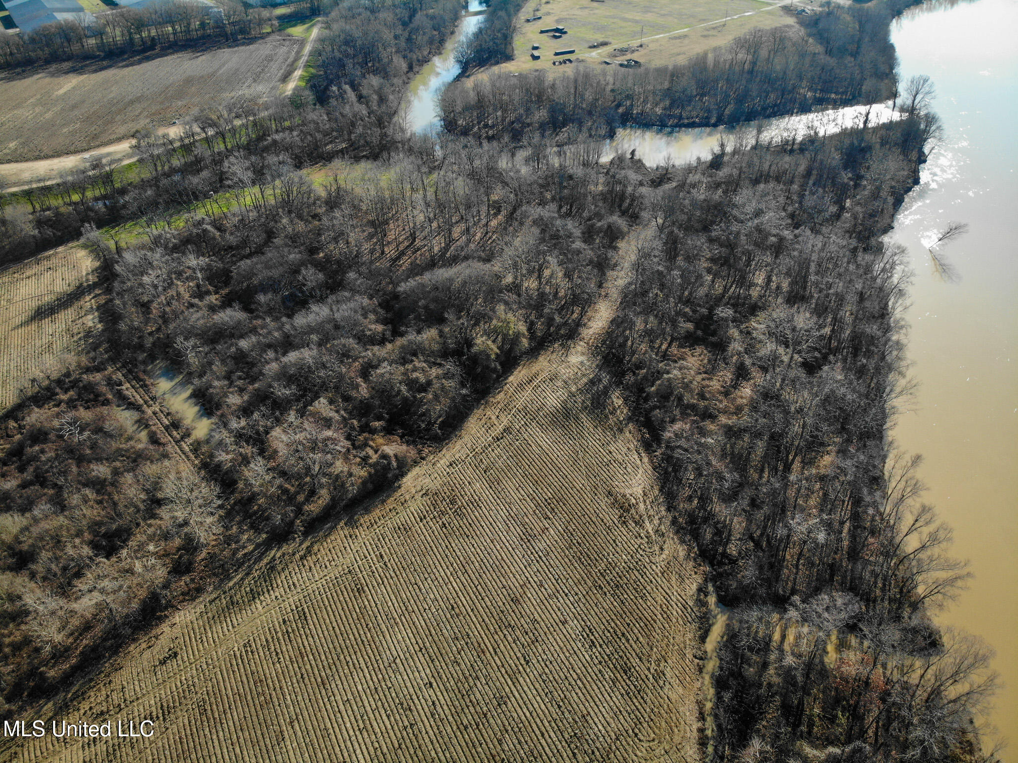 Buckeye Rd Road, Greenwood, Mississippi image 8