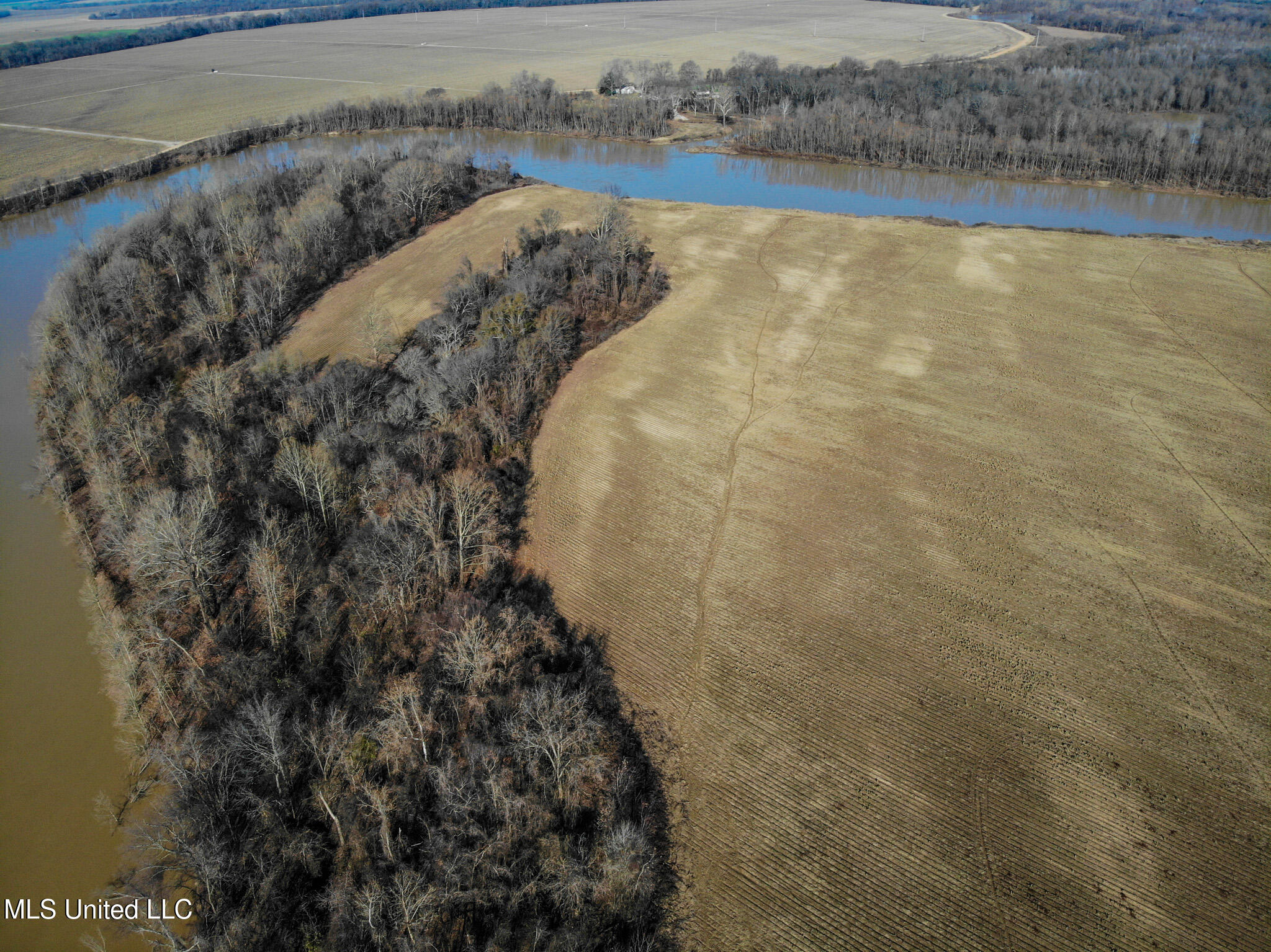 Buckeye Rd Road, Greenwood, Mississippi image 10