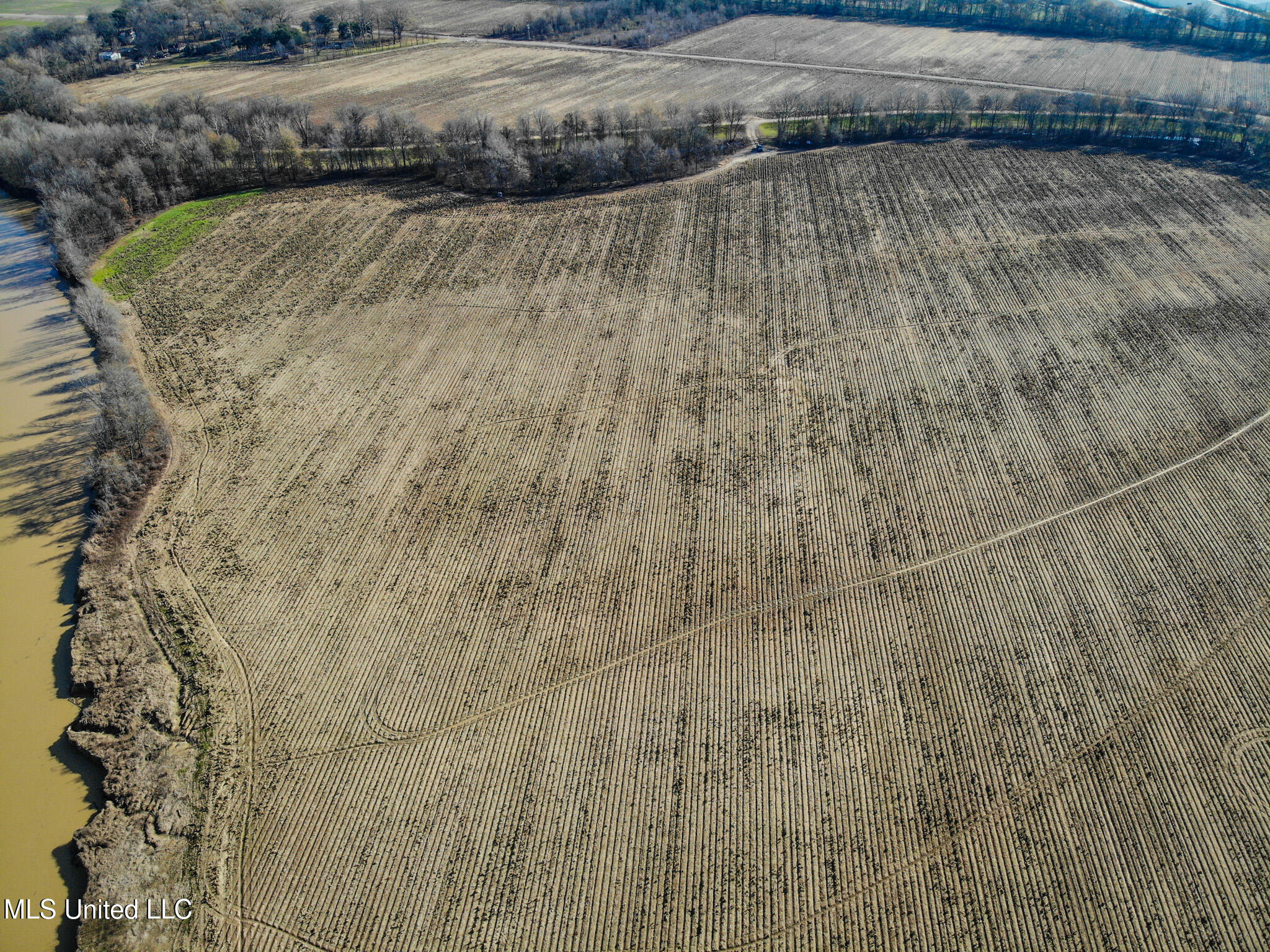 Buckeye Rd Road, Greenwood, Mississippi image 15