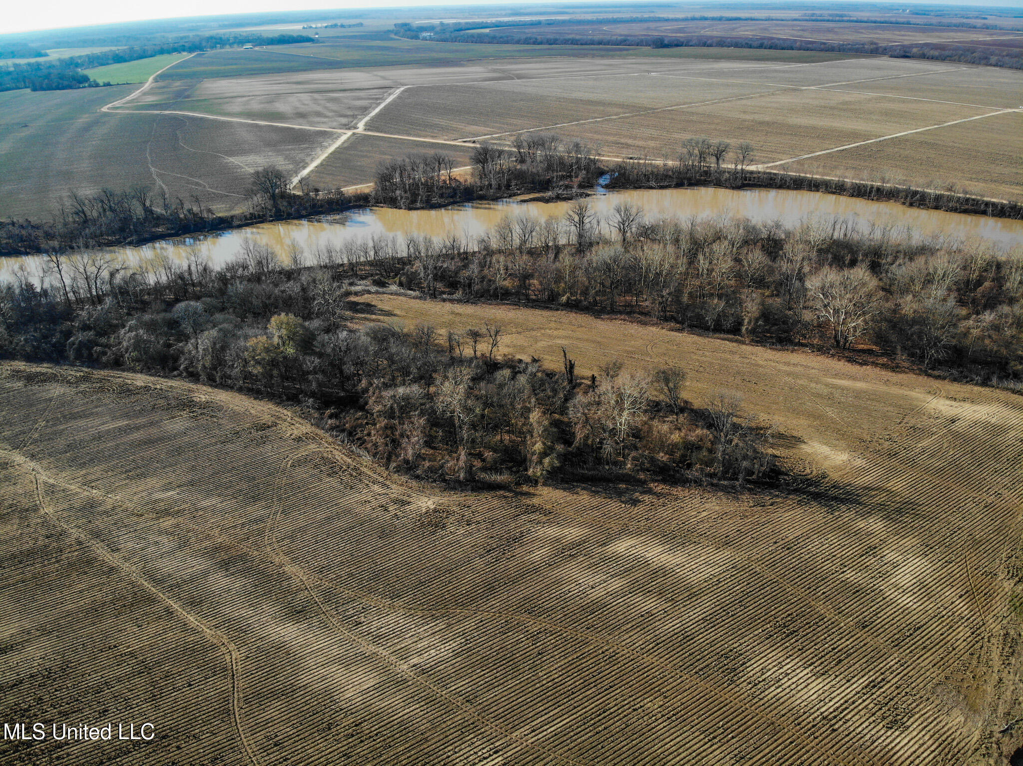 Buckeye Rd Road, Greenwood, Mississippi image 13