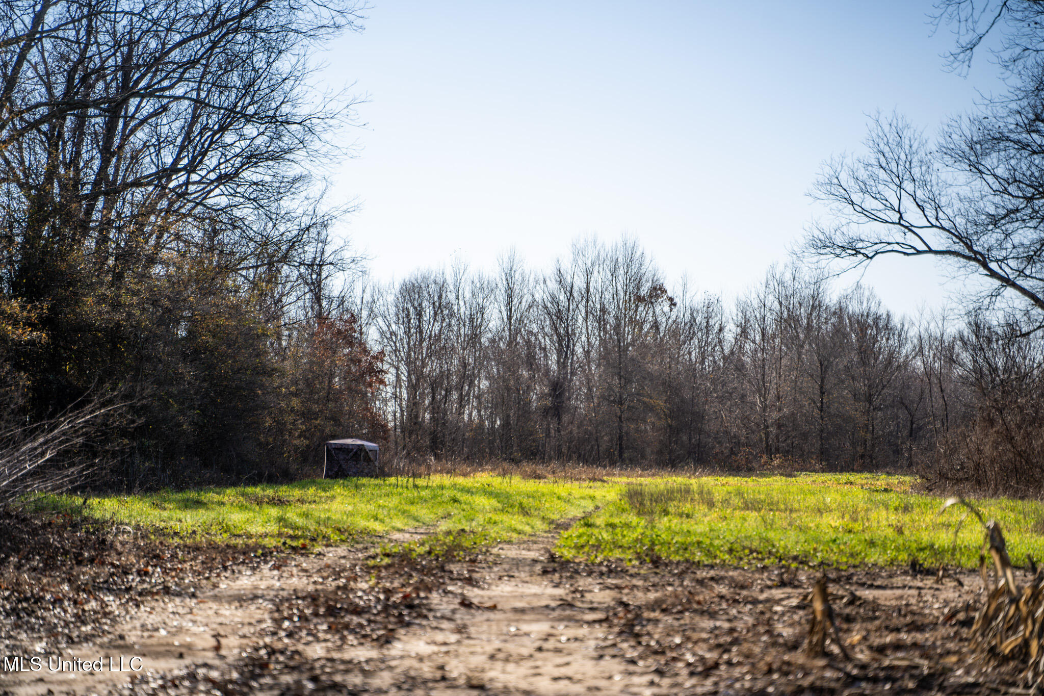 Buckeye Rd Road, Greenwood, Mississippi image 21