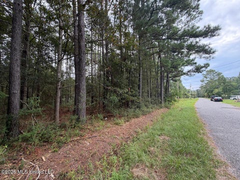 Vacant Land For Sale - W Ridley Street<br/> Bay Saint Louis, MS 39520