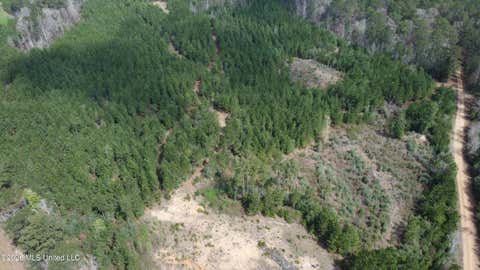 Vacant Land For Sale - 35 Parker Road<br/> Crosby, MS 39633