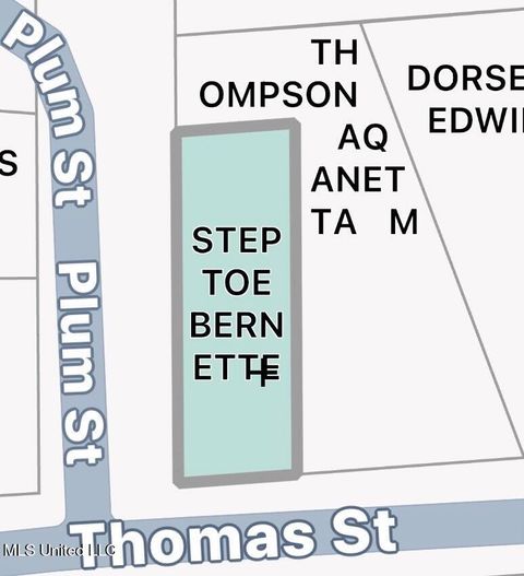 Vacant Land For Sale - Plum Street<br/> Summit, MS 39666