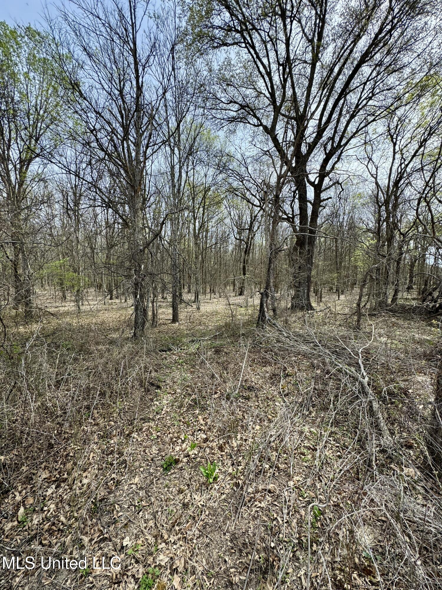 Turner Road, Ruleville, Mississippi image 7