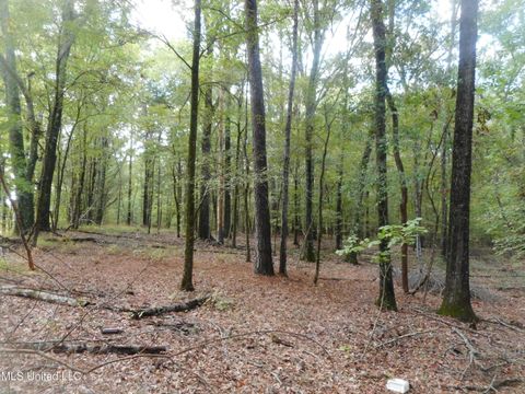 Vacant Land For Sale - Anding Oil City Road<br/> Bentonia, MS 39040