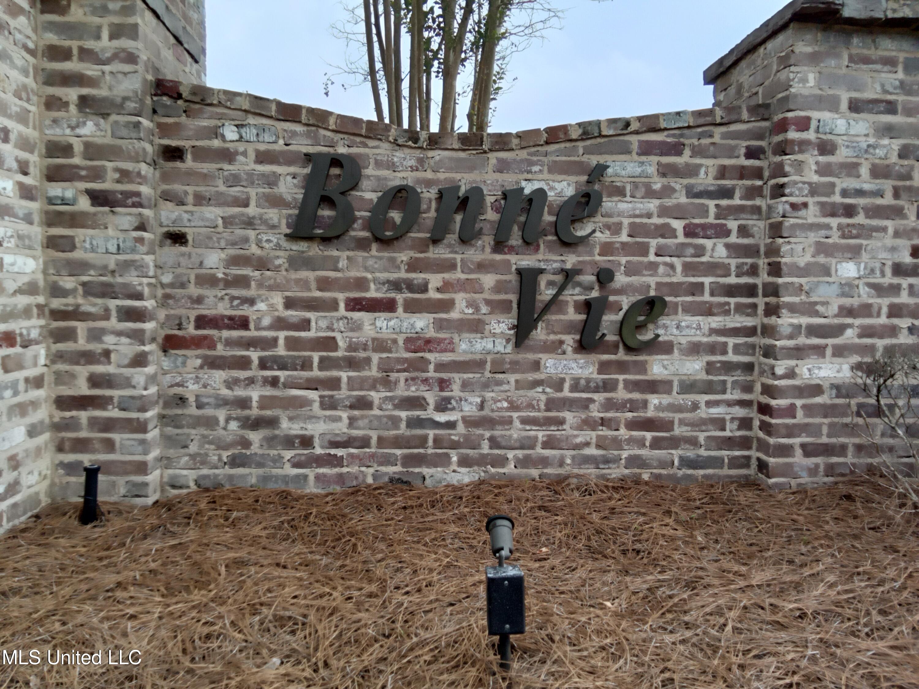 118 Bonne Vie` Drive, Brandon, Mississippi image 35