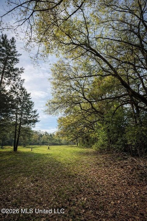 Vacant Land For Sale - 14 ACRES F Z Goss Road<br/> Picayune, MS 39466