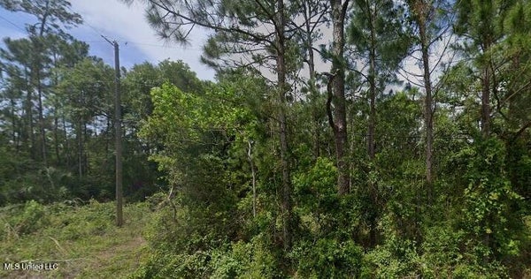 641 PONCE DE LEON BLVD, PASS CHRISTIAN, MS 39571 - Image 3fc86e2dd9b93f77a4e590c3f073573e/1403050793