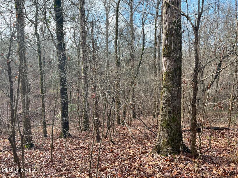 1021 1021 Cr 34, New Albany, Mississippi image 7