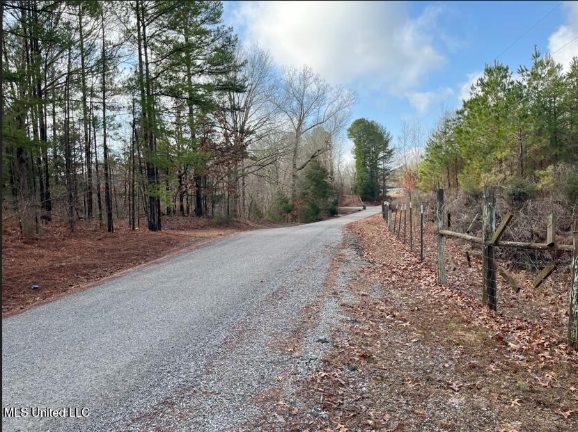 1021 1021 Cr 34, New Albany, Mississippi image 2