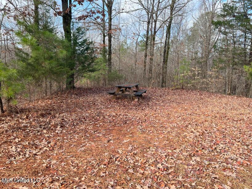 1021 1021 Cr 34, New Albany, Mississippi image 4