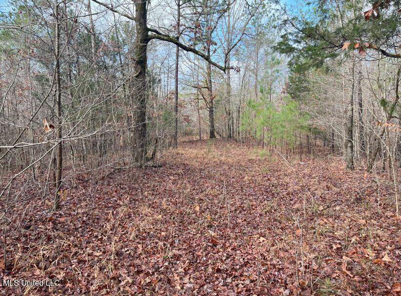1021 1021 Cr 34, New Albany, Mississippi image 9