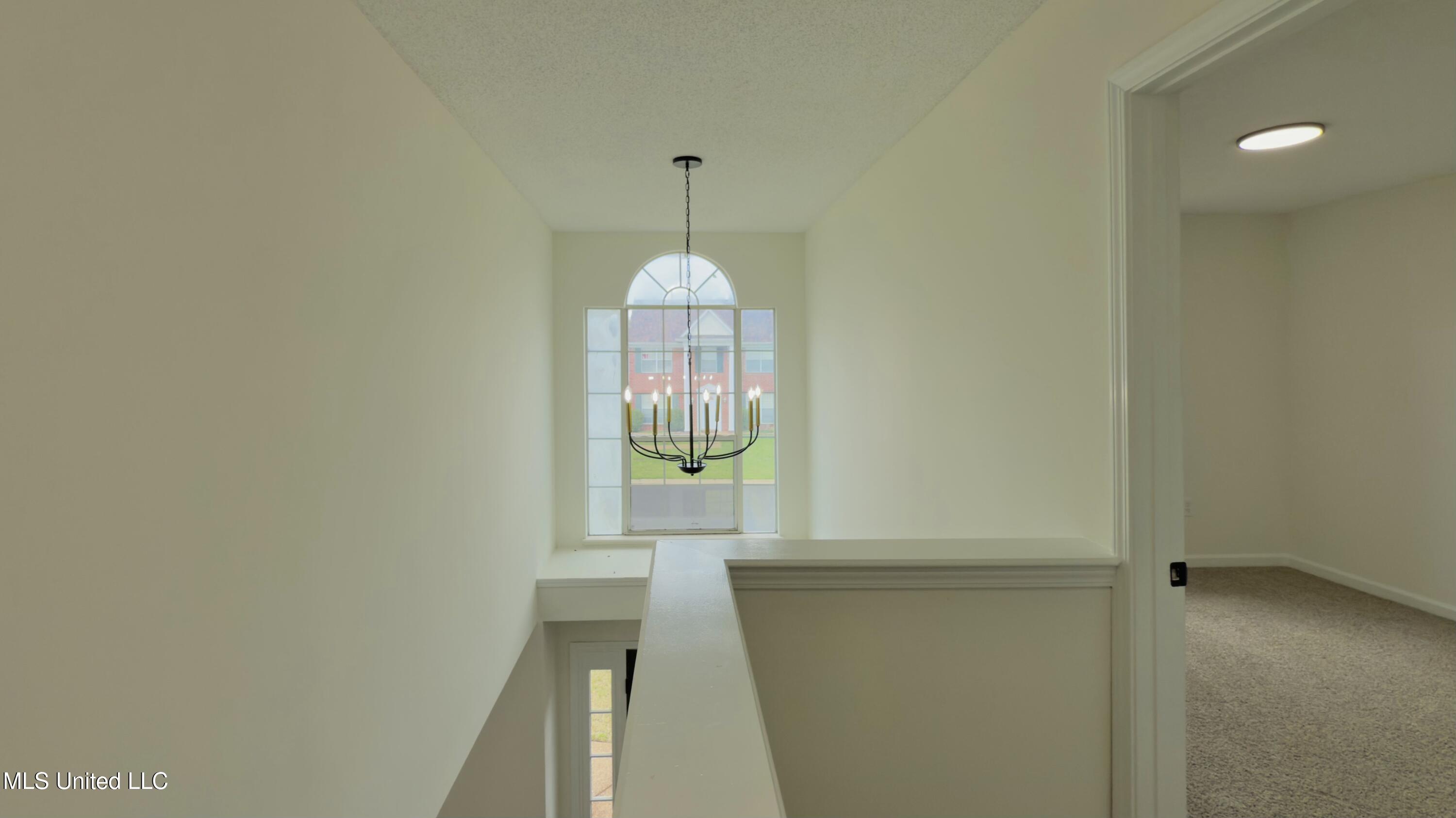 7343 Wendy Way, Walls, Mississippi image 23