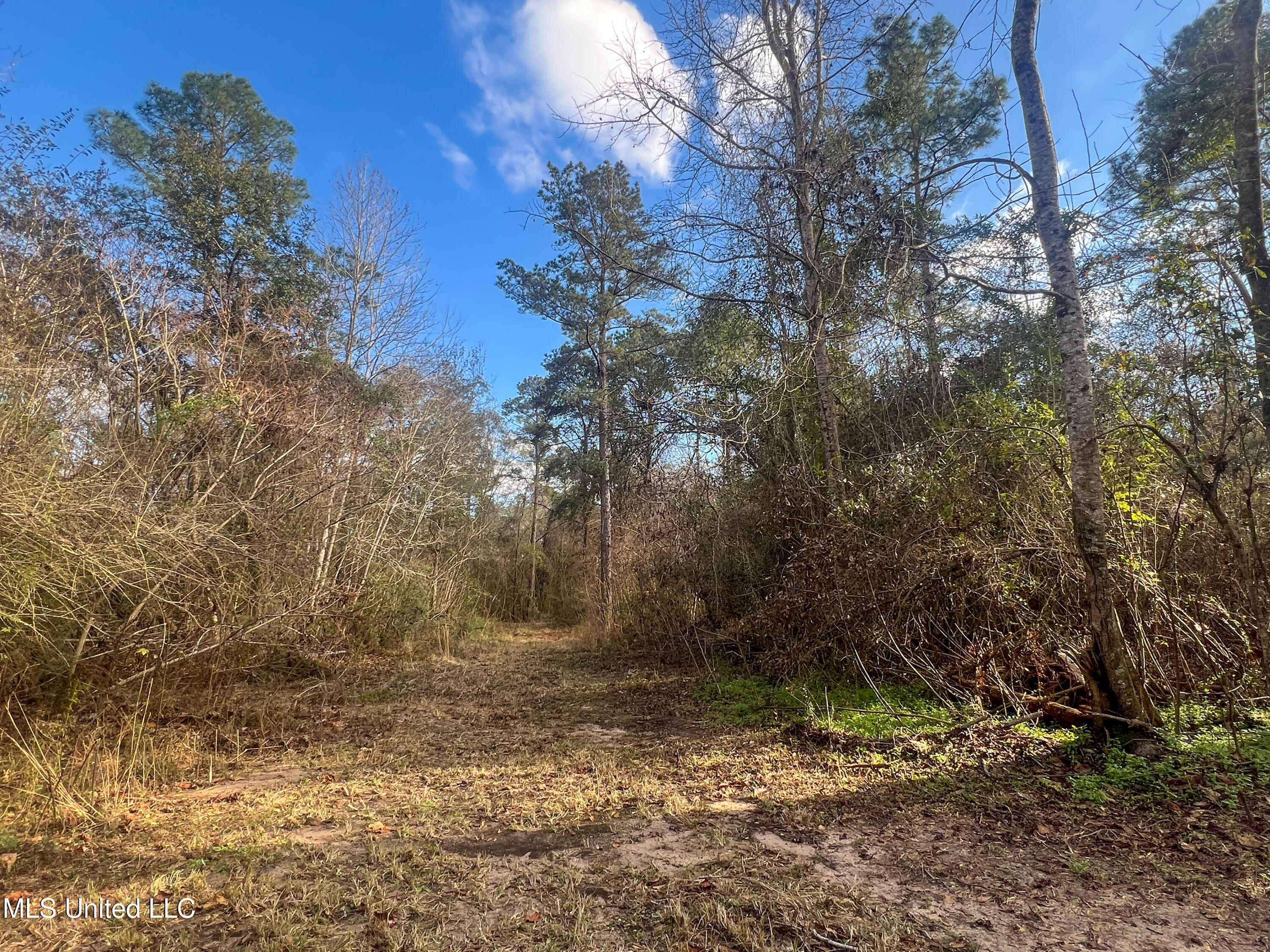 Lot 7 Pine Ridge Lane, Lucedale, Mississippi image 27