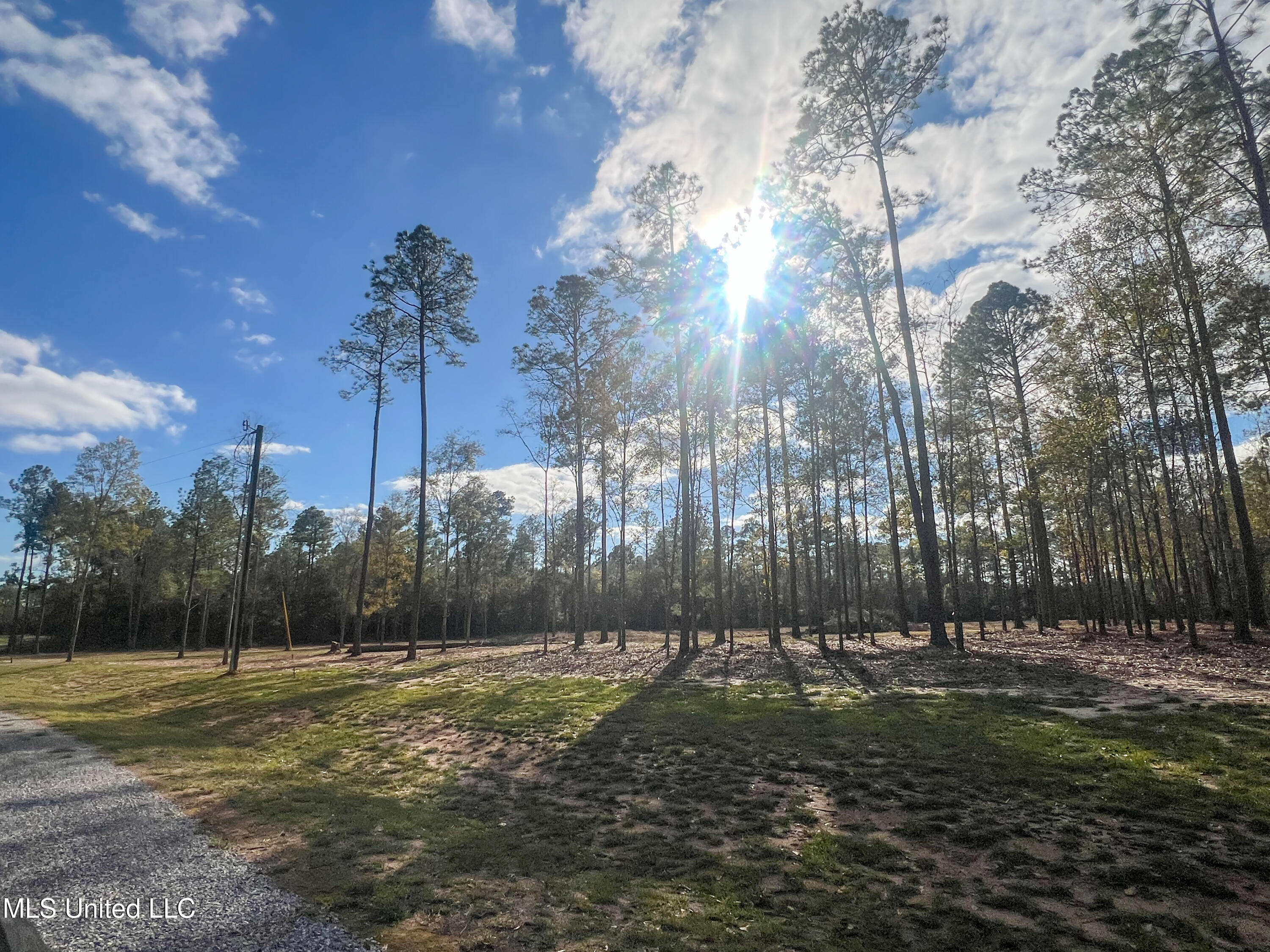 Lot 7 Pine Ridge Lane, Lucedale, Mississippi image 19