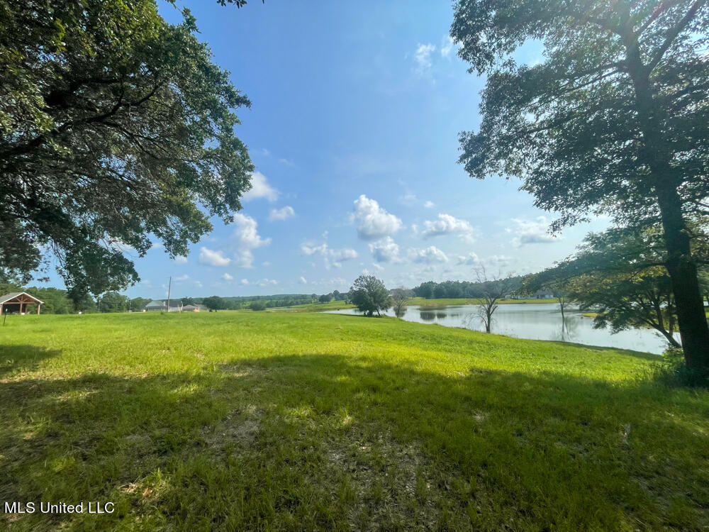 Lot 22 Gracies Way, Lucedale, Mississippi image 2