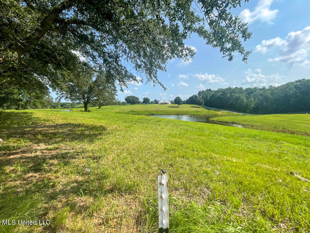 Lot 22 Gracies Way, Lucedale, Mississippi image 40