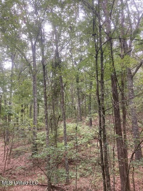 Vacant Land For Sale - Boswell Road<br/> Marshall County, Mount Pleasant, MS 38635