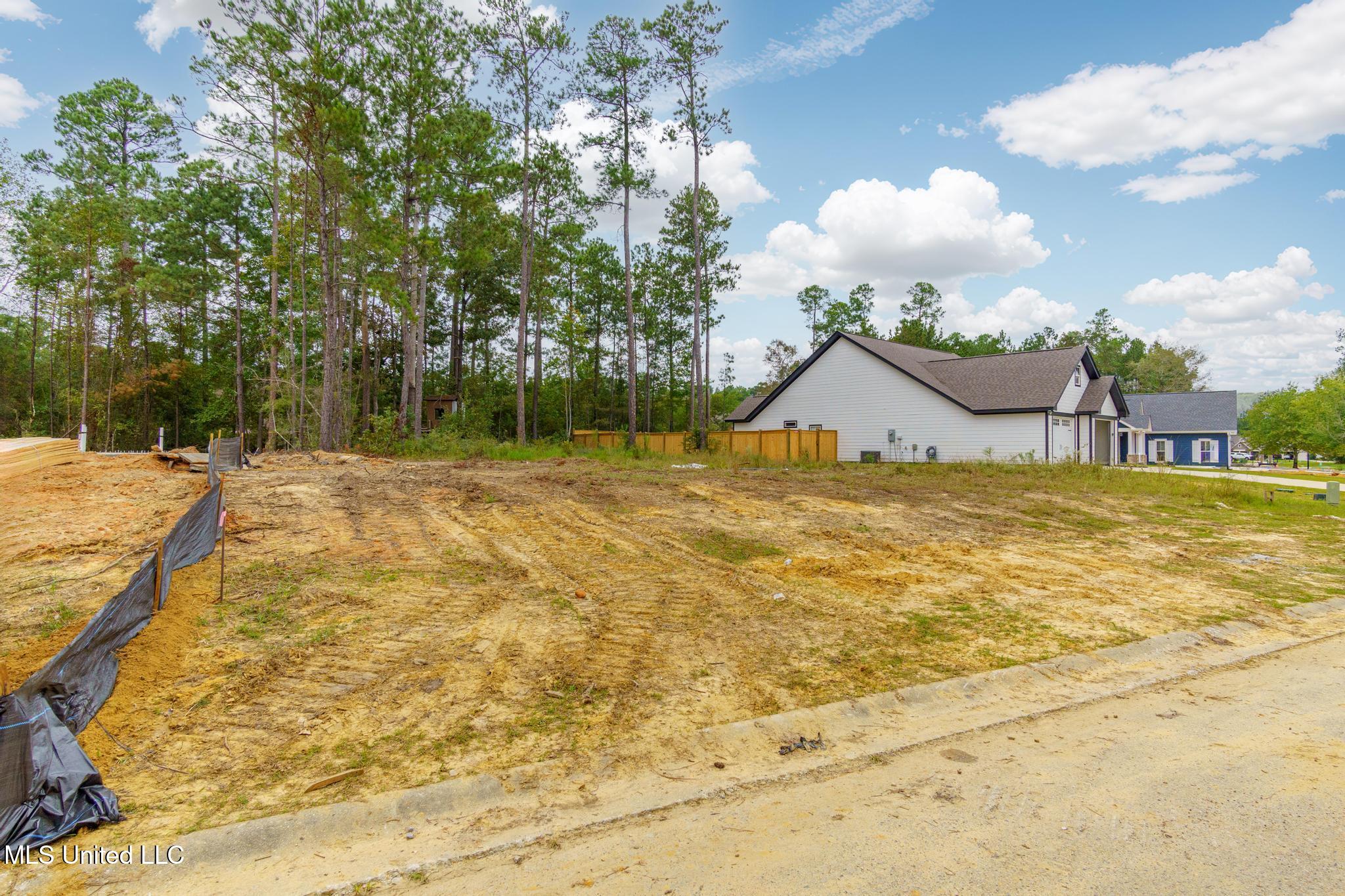 Lot 76 S Founders Way, Hattiesburg, Mississippi image 7