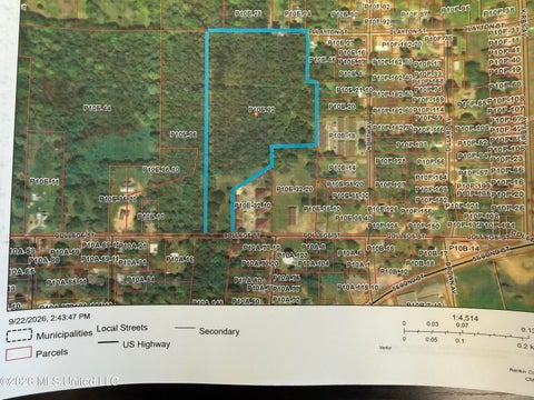 Vacant Land For Sale - College Street<br/> Pelahatchie, MS 39145