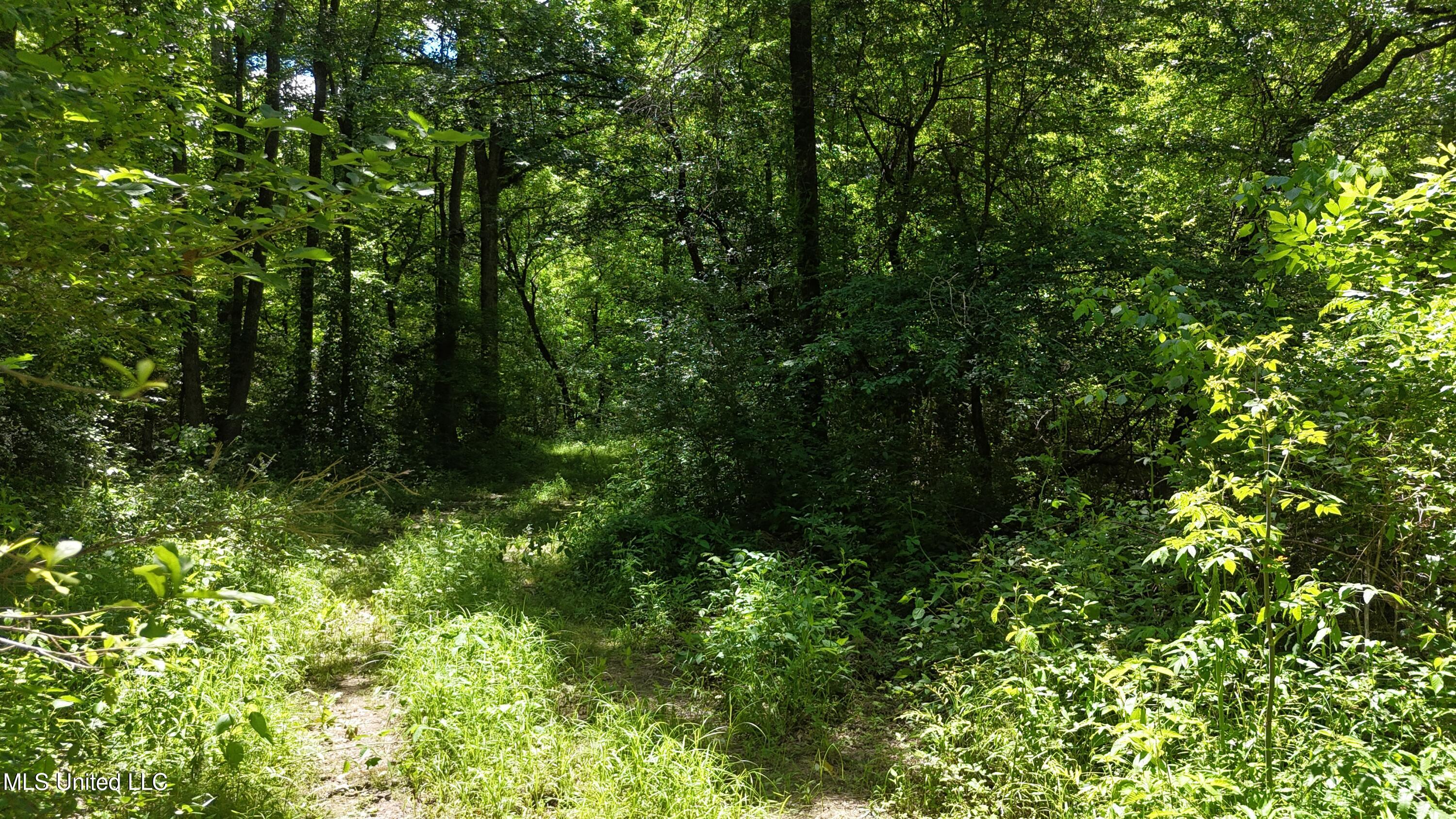 Ms-43, Canton, Mississippi image 6