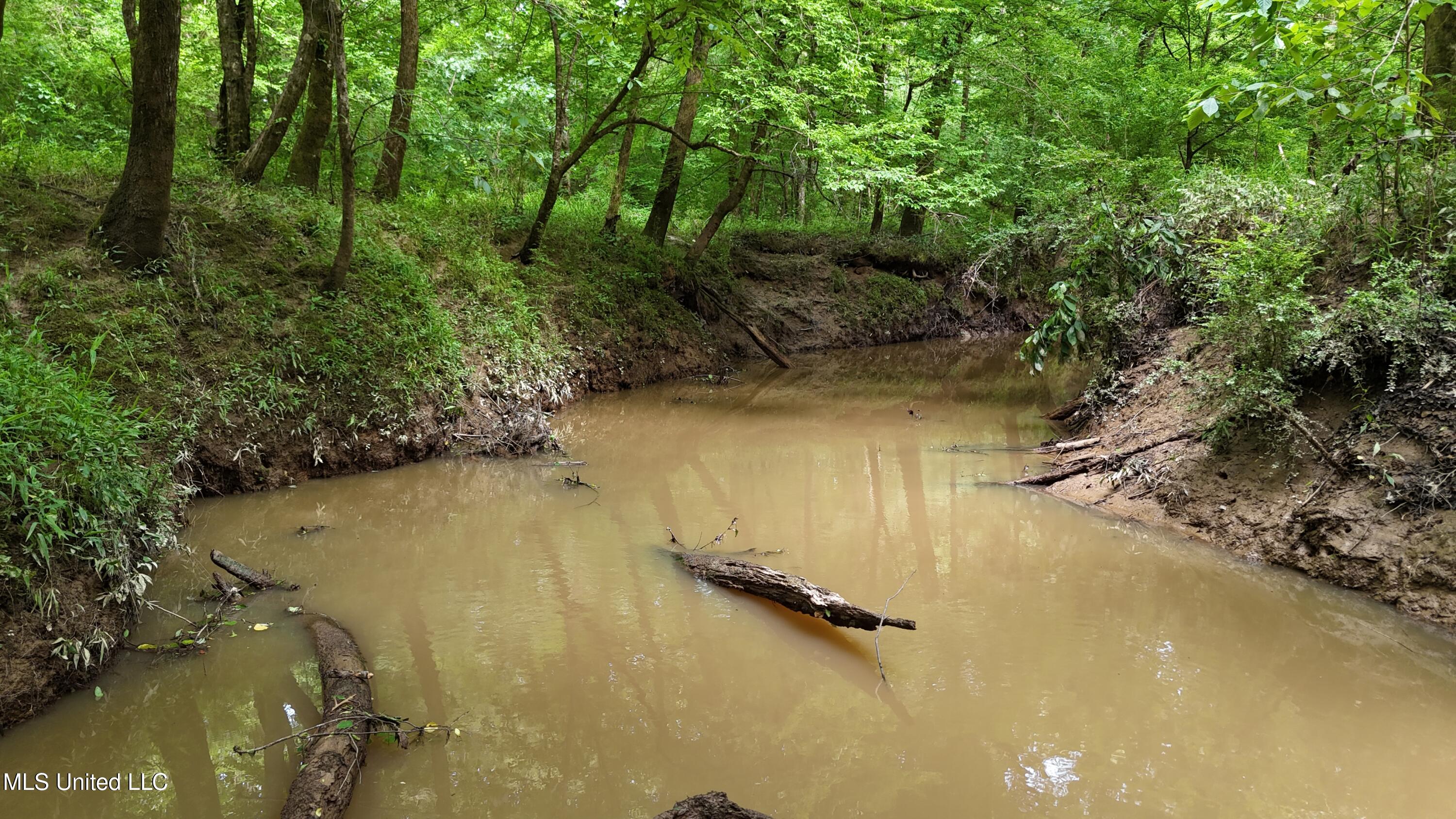 Ms-43, Canton, Mississippi image 31