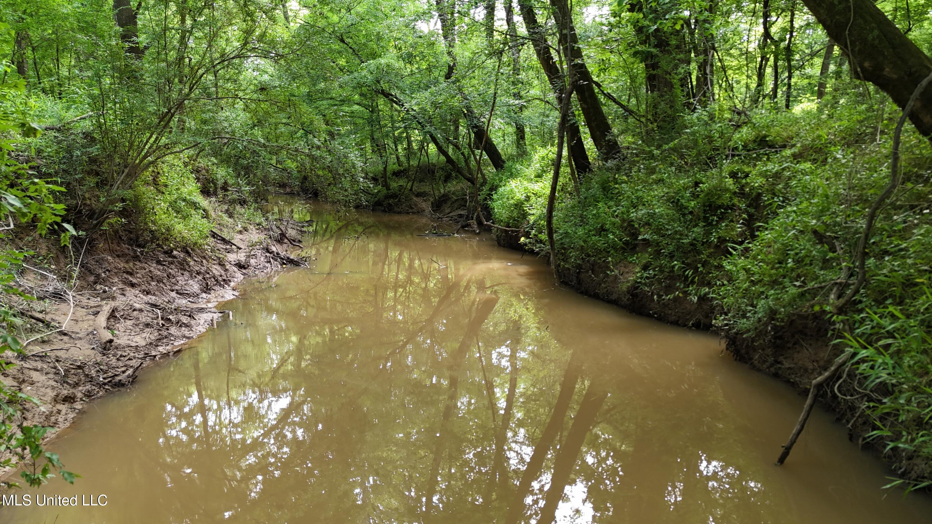 Ms-43, Canton, Mississippi image 30