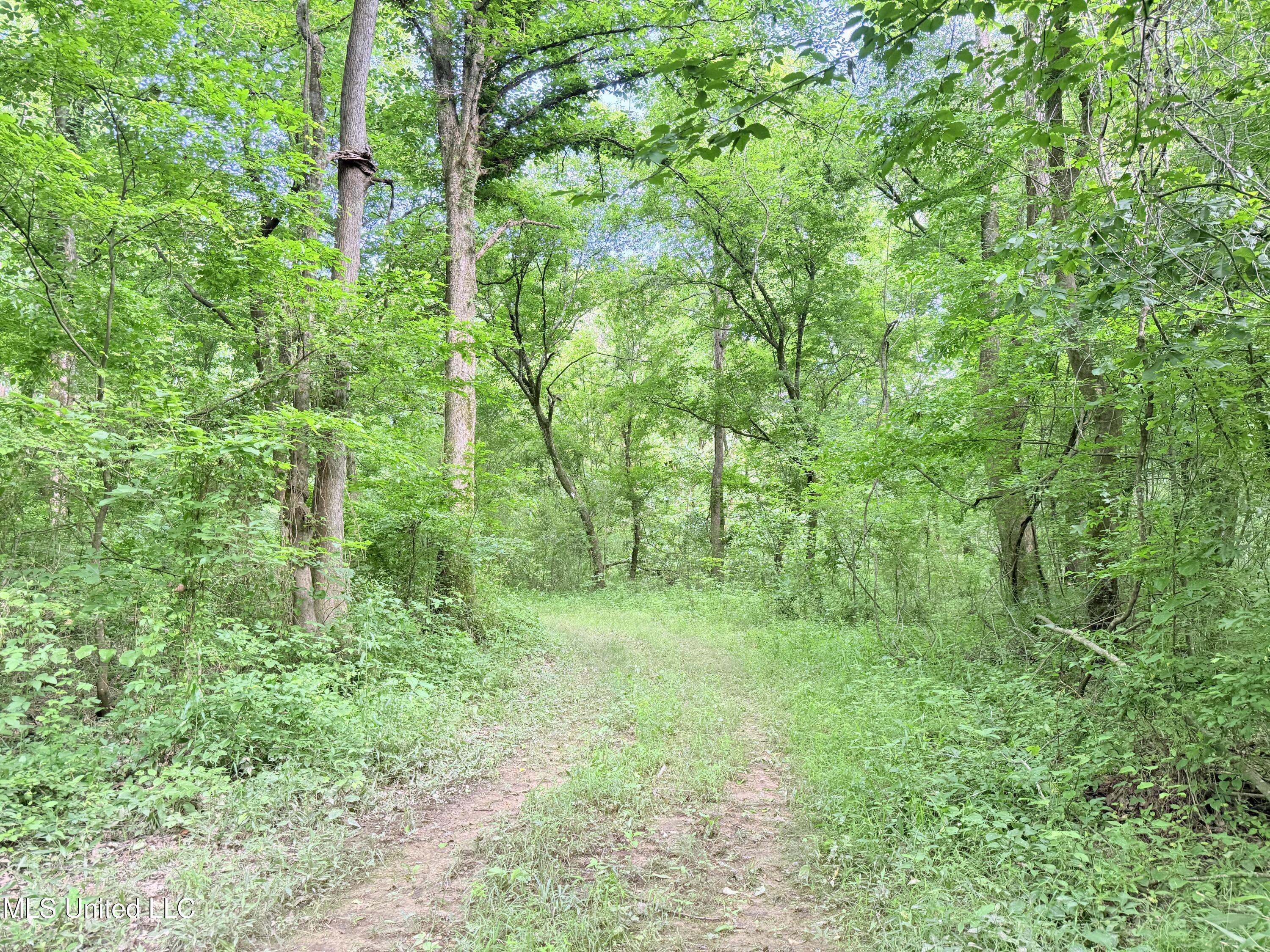 Ms-43, Canton, Mississippi image 19