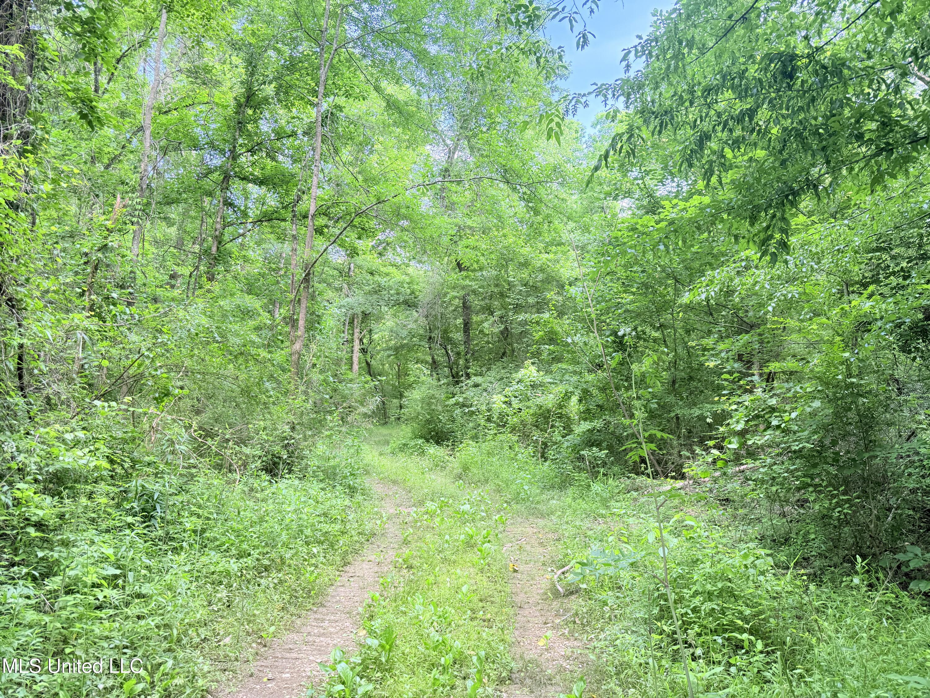 Ms-43, Canton, Mississippi image 17