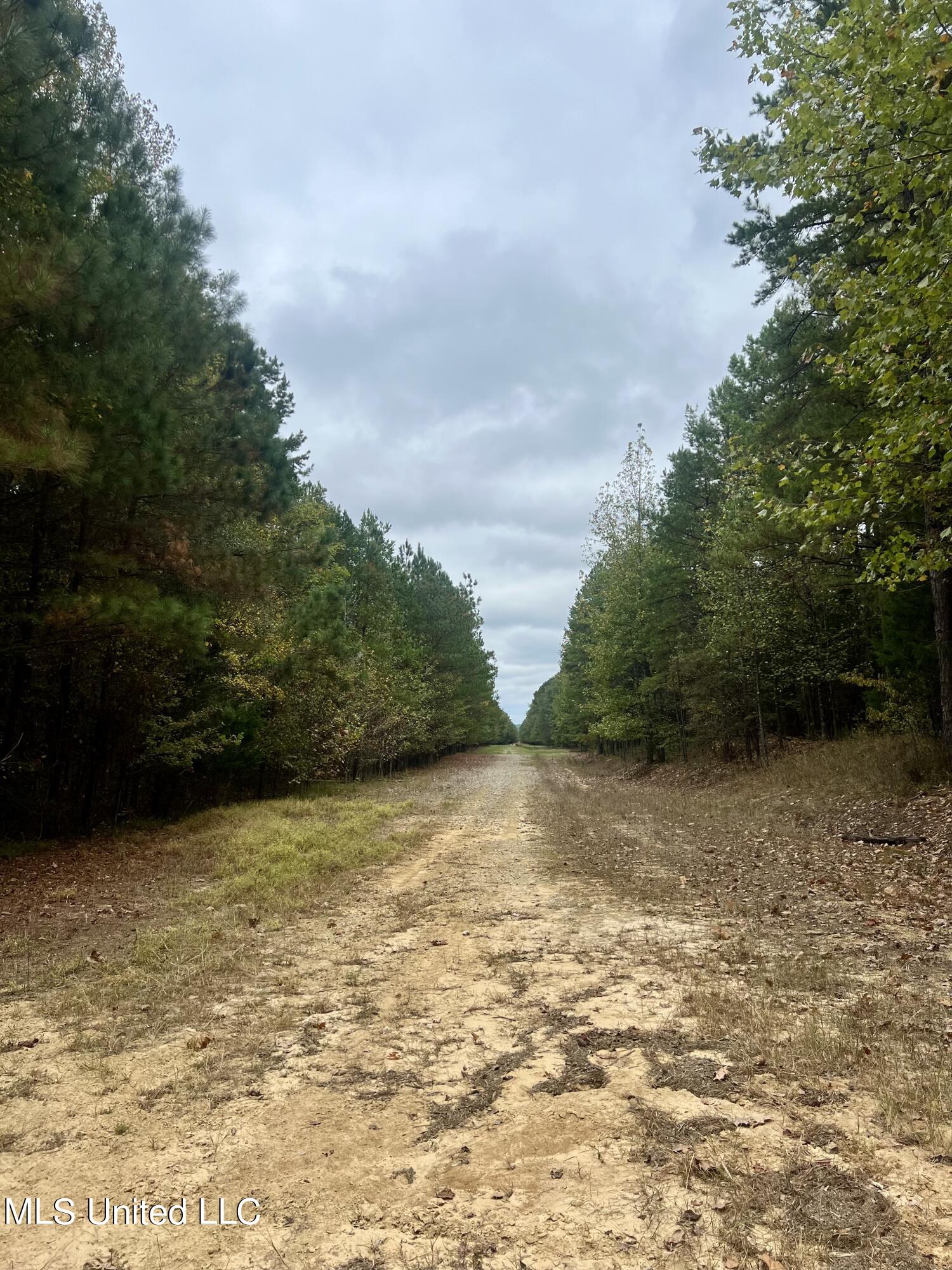 Cr 194, Coffeeville, Mississippi image 1