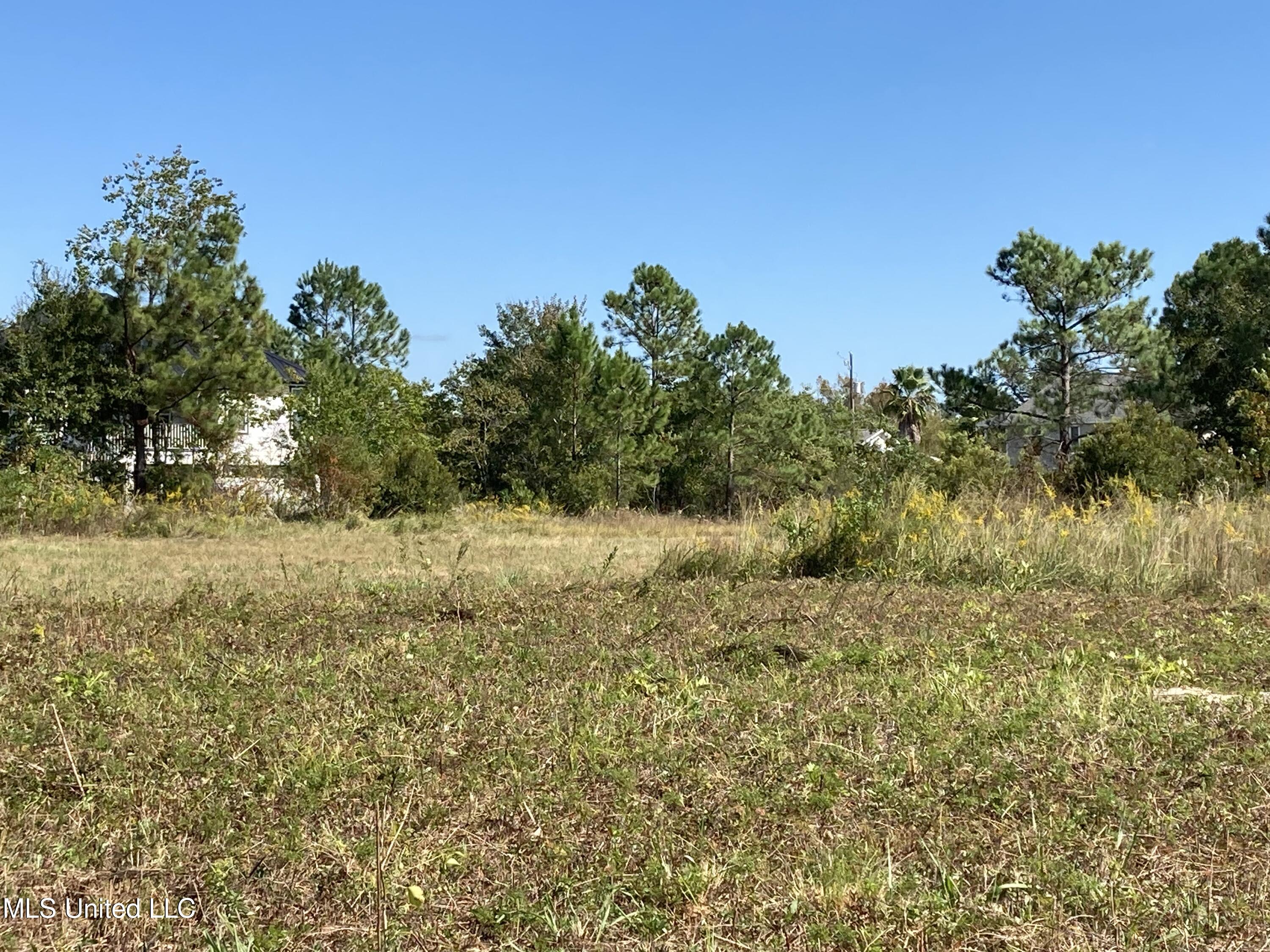 Nsn Favre Street, Waveland, Mississippi image 7